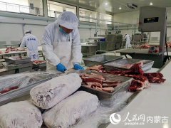    烏蘭察布：綠電賦能“雙鏈”躍升 書寫北